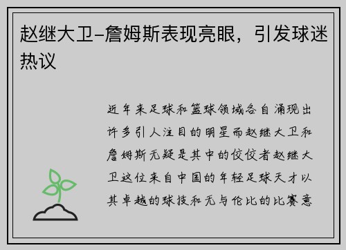 赵继大卫-詹姆斯表现亮眼，引发球迷热议