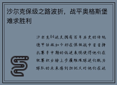 沙尔克保级之路波折，战平奥格斯堡难求胜利